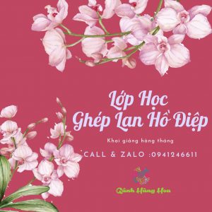 Read more about the article LỚP HỌC GHÉP LAN HỒ ĐIỆP